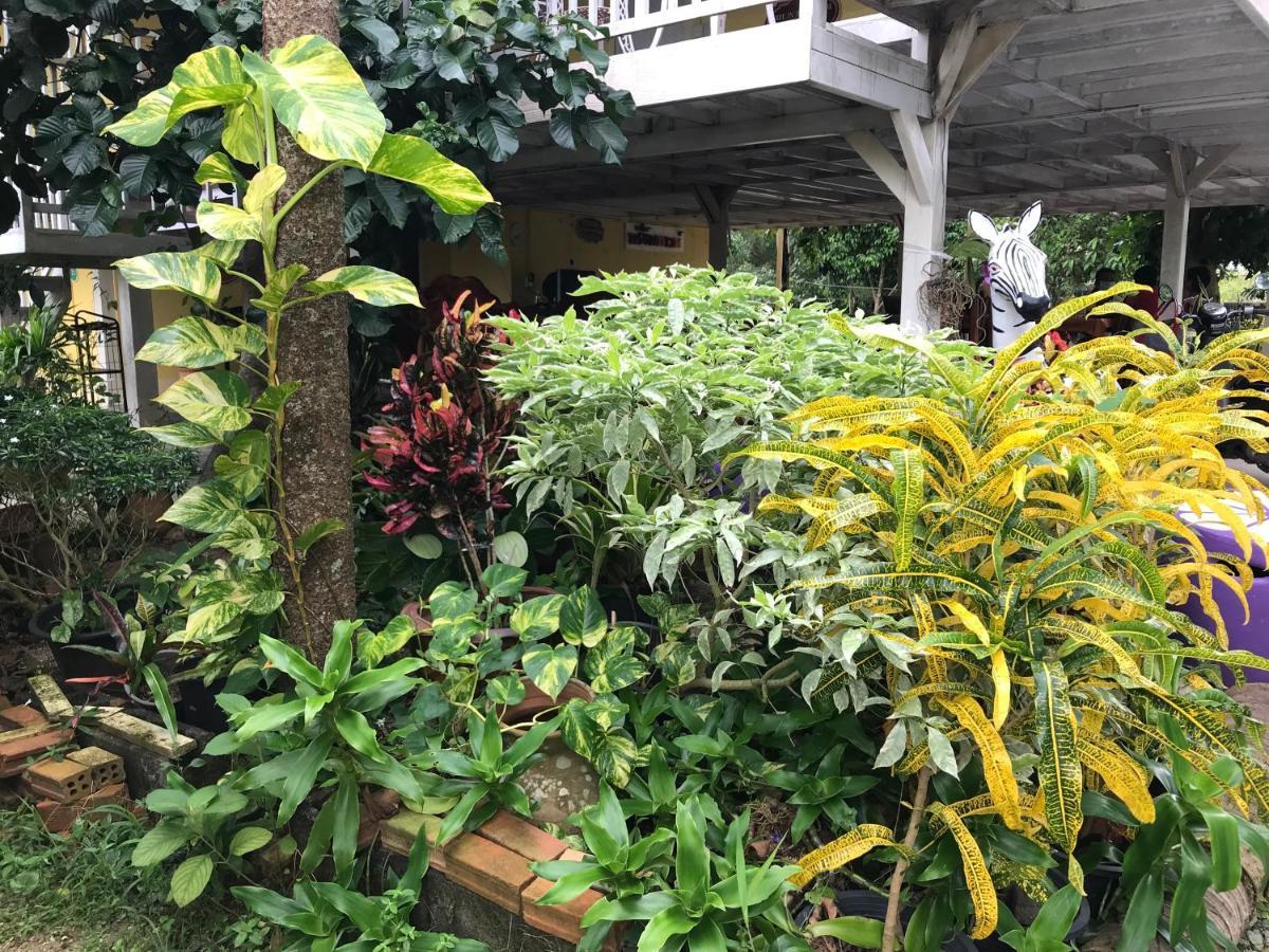 Villa Tree In Town ทรีอินทาวน์ Phatthalung Esterno foto