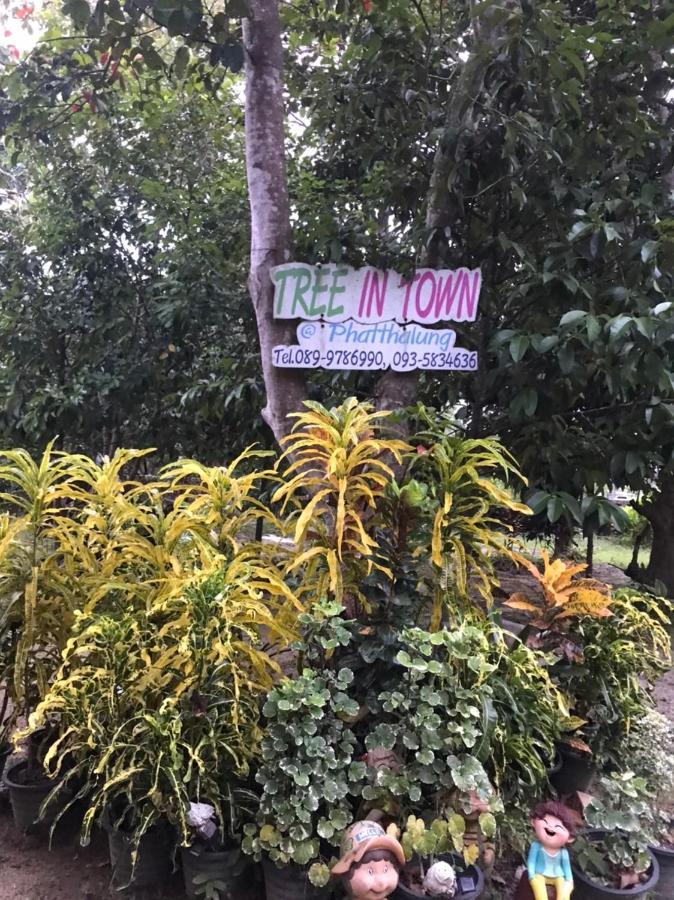 Villa Tree In Town ทรีอินทาวน์ Phatthalung Esterno foto